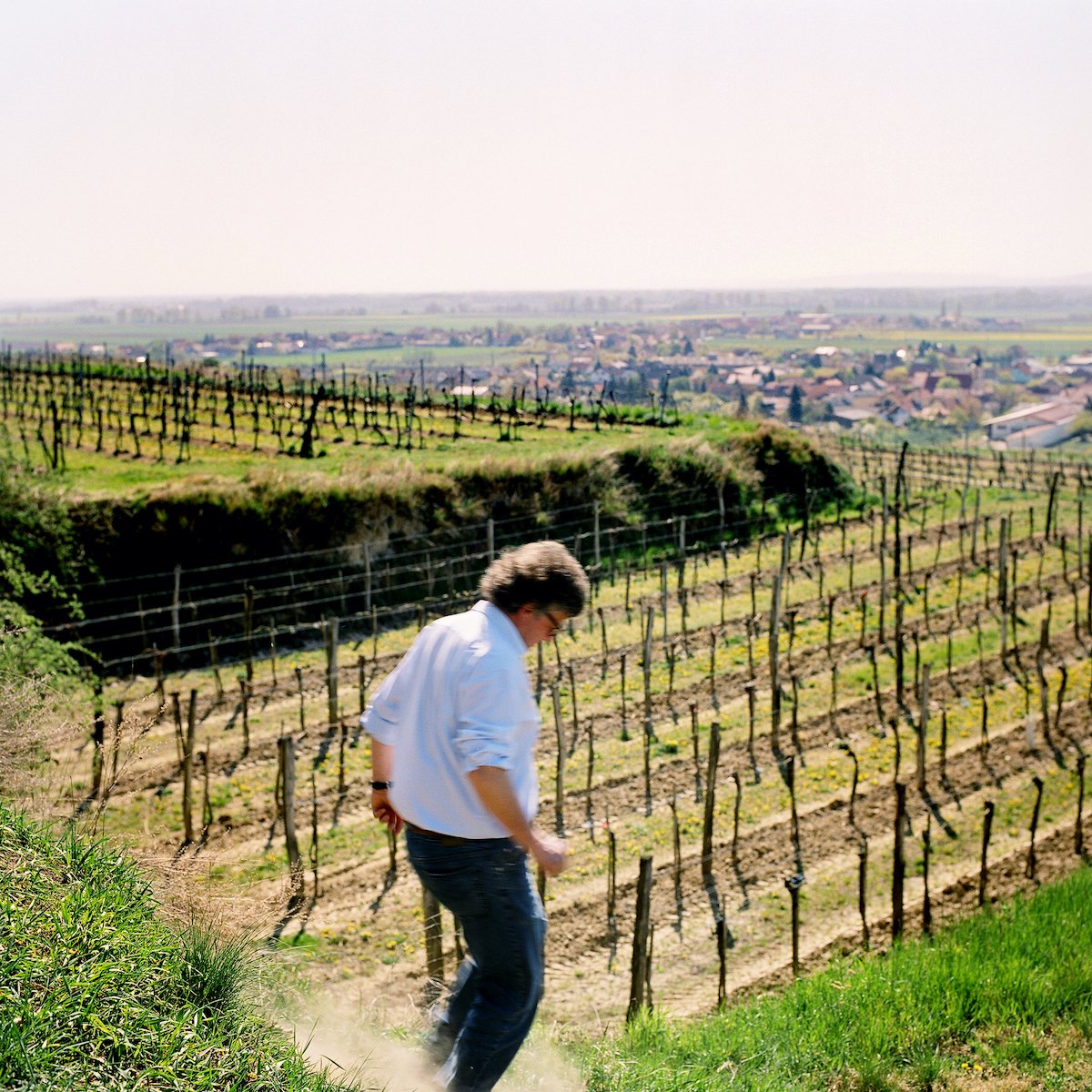 HAT sich die WEINWELT selbst ins KNIE geschossen?