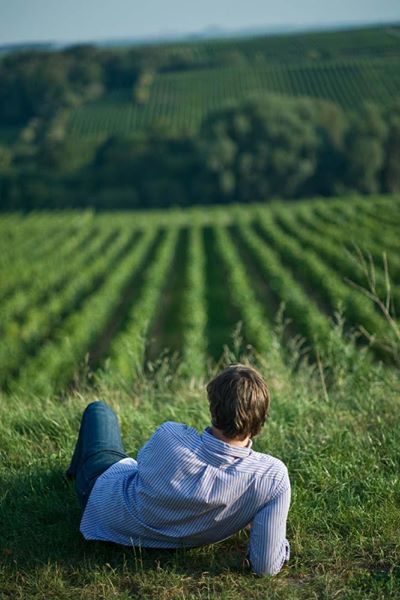 Das deutsche Unglück mit dem Wein – Warum ein Land mit großer Vergangenheit seine Gegenwart kleinredet.