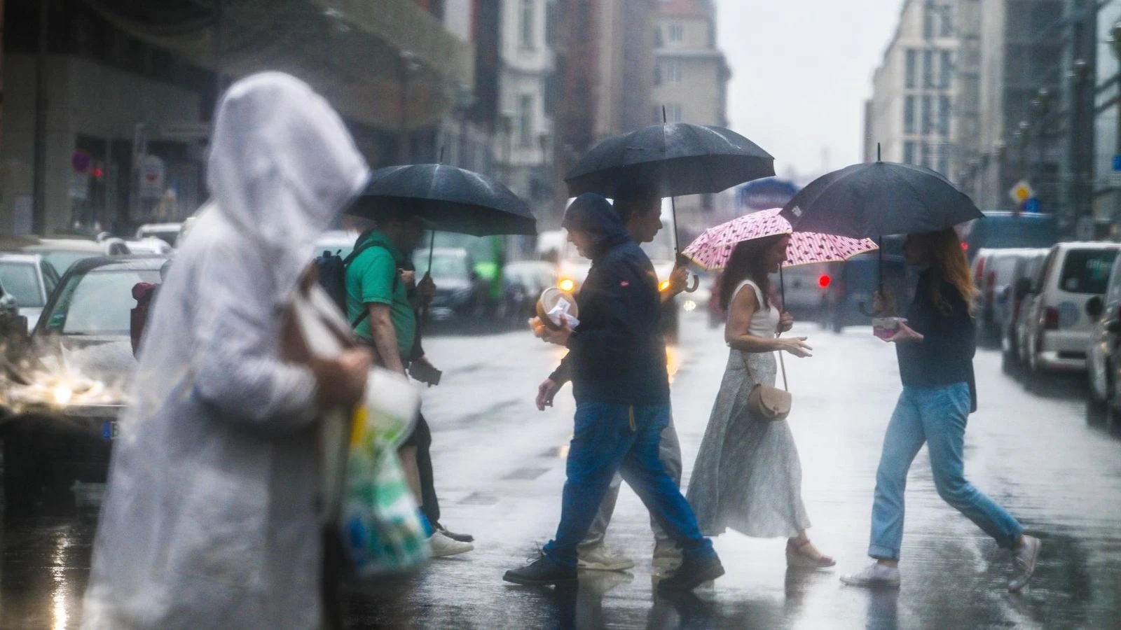 10 Tage Regen! Fuck! Fünf Kaminweine für den Sommer