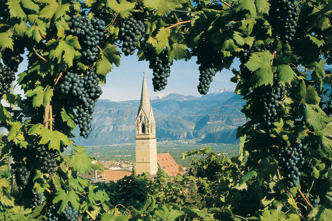 Brüder der Berge. The Big Picture zum Tiroler Sommelierverein