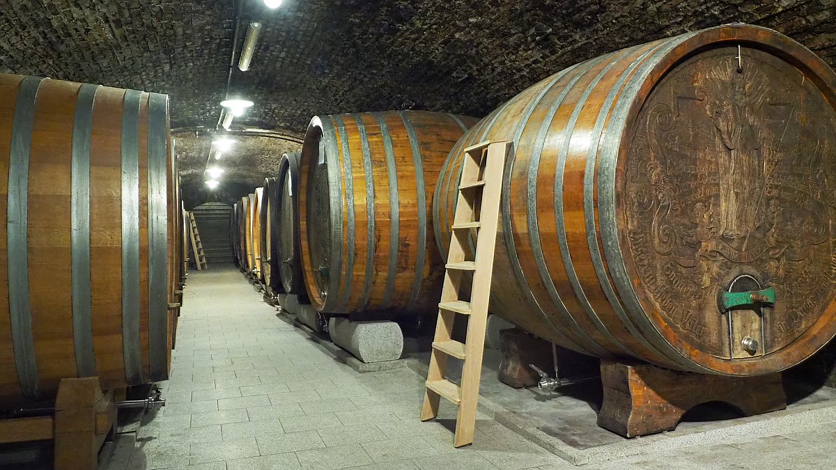 Ein Hauch Ewigkeit. 200 Jahre Weingut Knoll in der Wachau