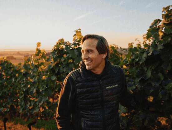 Revisited: Jochen & Christian Dreissigacker, keine Master of Desaster, sondern deutsche Meister bei Pinot Blanc