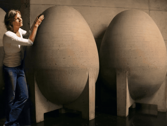 Friede, Freude, Eiersuchen. Post-Oster-Suche nach Eiern im Weinbau