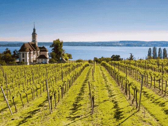 Best of Bodensee: die WELT am SONNTAG Kolumne von letztem Sonntag