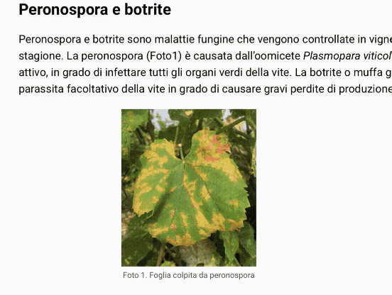 Was Krebs heilt, heilt auch den Weinbau? Ein neues RNA-Mittel revolutioniert die Schädlingsbekämpfung