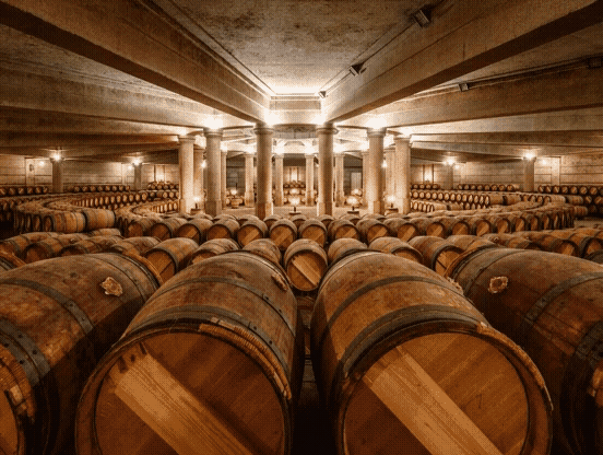 Bestrafe Bordeaux! Warum die Rotweinkrise vor allem im Bordelais so dramatisch ist wie keine Krise seit mehr als 100 Jahren