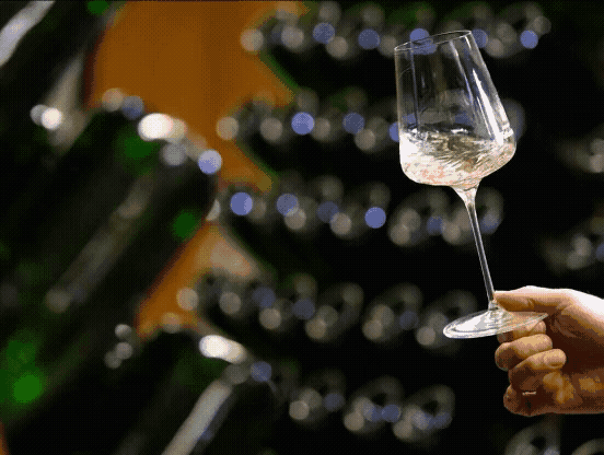 Low & No: Die überraschende Innovationskraft im Weinbau