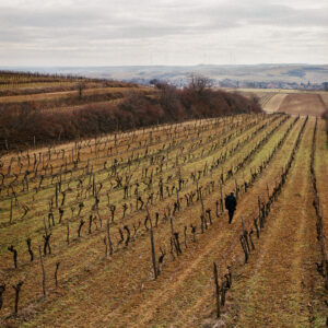 Der Weinwelt fehlt ein Plan für das Danach